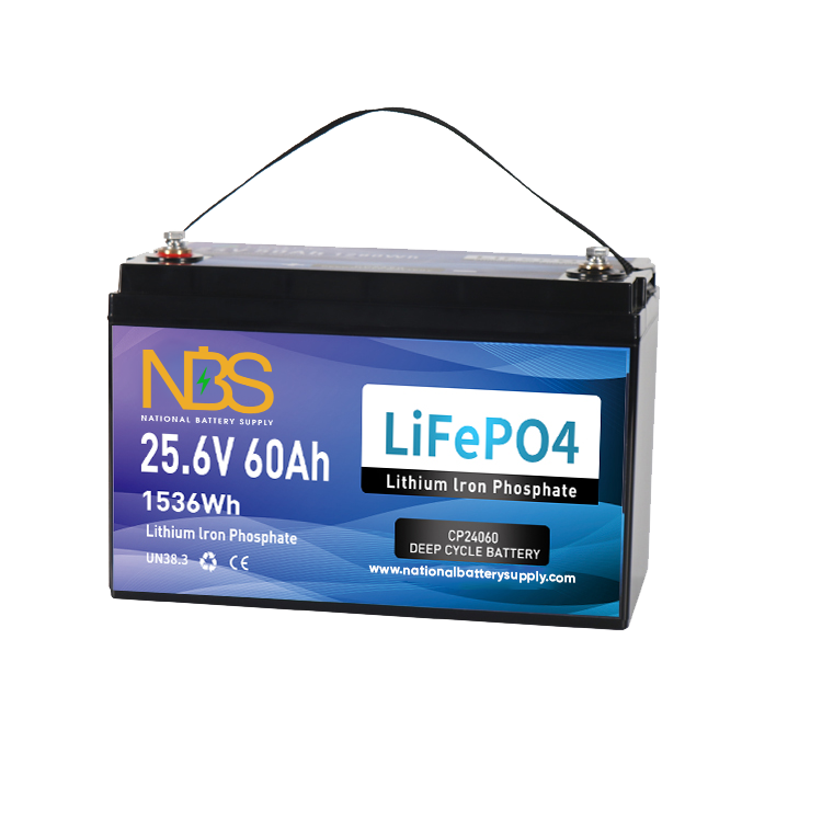 LiFePO4 batteries ​